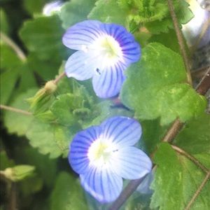 Meet your Posher, Karina